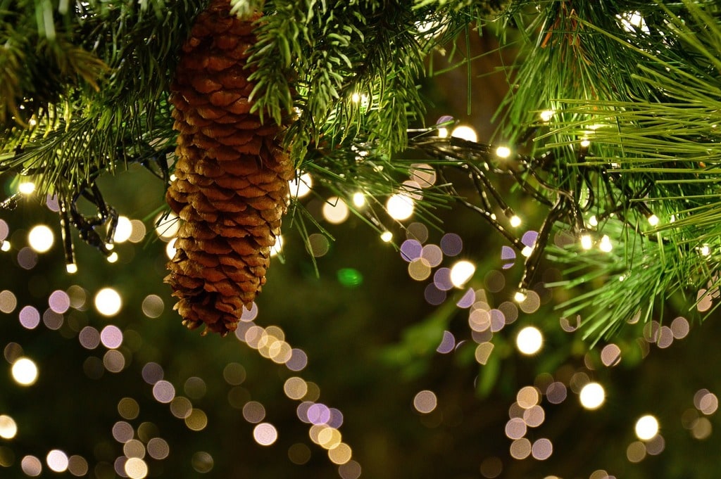 Quel style pour sa décoration de Noël ?