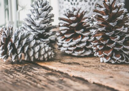 Comment opter pour une décoration de Noël minimaliste?